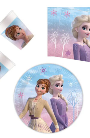 Disney Jégvarázs Wind party szett 36 db-os 23 cm-es tányérral