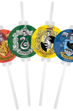 Harry Potter Hogwarts Houses papír szívószál 4 db-os szett FSC