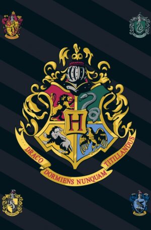 Harry-Potter-polar-takaro-100140cm
