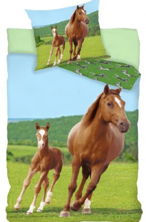 BRM008120