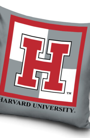 Harvard-parnahuzat-4040-cm