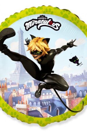Miarculous-Cat-Noir-Katicabogar-es-Fekete-macska-k