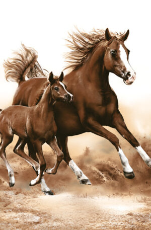 Lovas-Mare-with-Foal-szalveta-20-db-os-33x33-cm