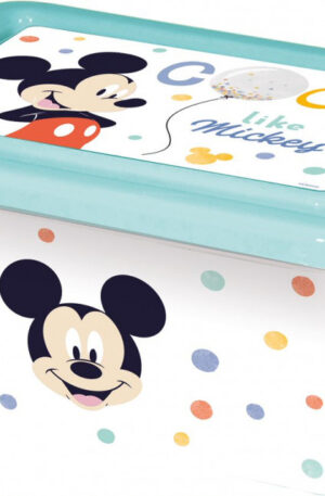 Disney-Mickey-muanyag-tarolo-doboz-37-L