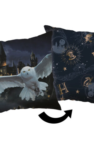 Harry-Potter-Hogwarts-parna-diszparna-40x40-cm
