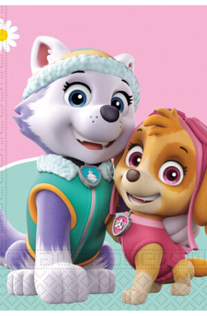 Paw-Patrol-Skye-and-Everest-Mancs-Orjarat-szalveta