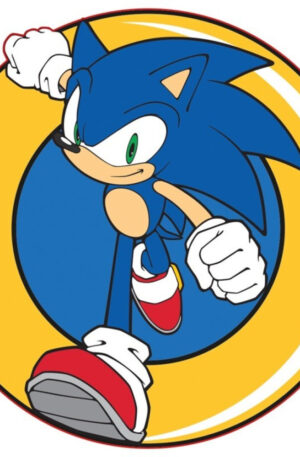 Sonic-a-sundiszno-formaparna-diszparna-31x31-cm