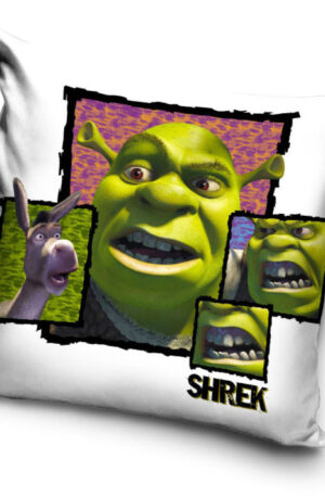 Shrek-parnahuzat-40x40-cm-Velur