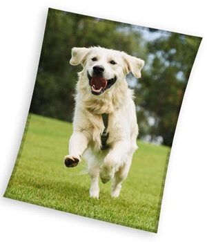 Kutyas-Happytail-Retriever-coral-fleece-polar-taka