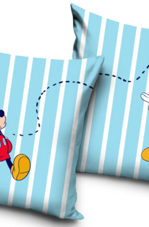 Disney-Mickey-parna-diszparna-40x40-cm