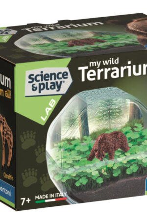 Mini-Bear-terrarium-Clementoni