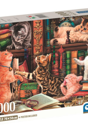 Cicas-Curious-Whiskers-1000-db-os-Compact-puzzle-C