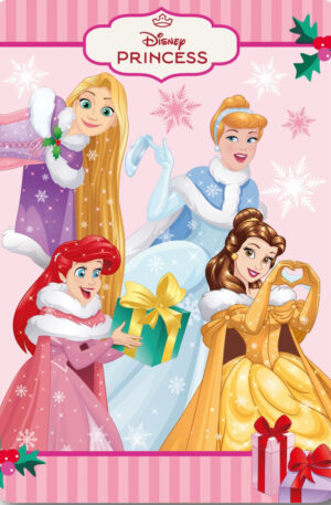 Disney-Hercegnok-Festive-Fairy-Karacsony-polar-tak
