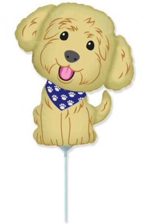 Kutyas-Cobberdog-mini-folia-lufi-WP