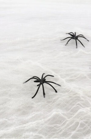 Spider-Web-Pokhalo-pokokkal