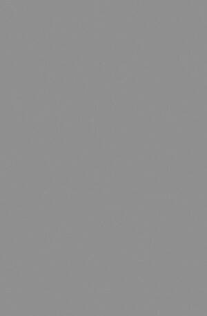 Szurke-Maki-szalveta-20-db-os-33x33-cm