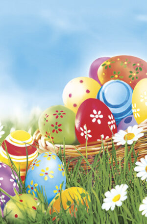 Husvet-Eggs-and-Daisies-szalveta-20-db-os-33x33-cm