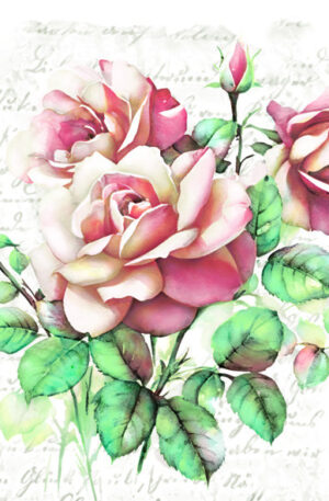 Rozsa-Subtle-Classic-szalveta-20-db-os-33x33-cm