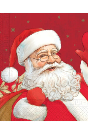 Karacsony-Santa-Claus-szalveta-20-db-os-33x33-cm-F