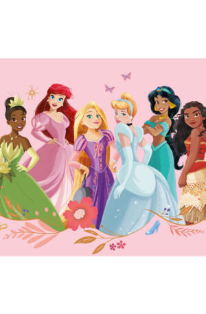 Disney-Hercegnok-tanyeralatet-43x28-cm
