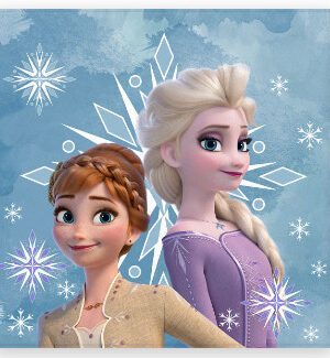 Disney-Jegvarazs-Snowflake-keztorlo-arctorlo-torol
