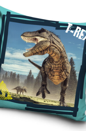 CBX203002TREX