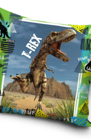 CBX203004TREX