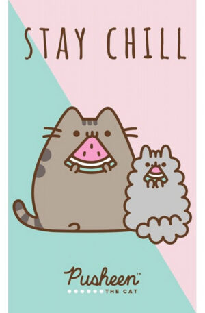 Pusheen-Stay-Chill-keztorlo-arctorlo-torolkozo-30x