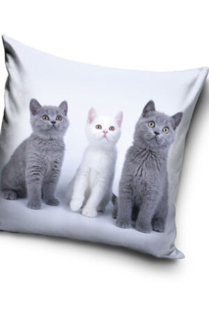 Cicas-Trio-parnahuzat-40x40-cm-Velur