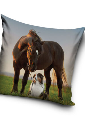 Lovas-Sunset-Companions-parnahuzat-40x40-cm