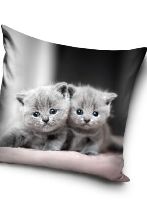 Cicas-Twins-parnahuzat-40x40-cm-Velur