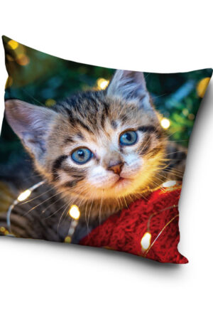 Cicas-Cozy-Lights-parnahuzat-40x40-cm-Velur