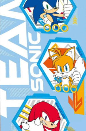 Sonic-a-sundiszno-Team-furdolepedo-strand-torolkoz