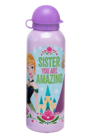Disney-Jegvarazs-Amazing-Sister-aluminium-kulacs-i