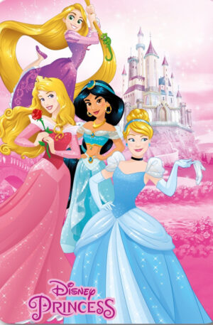 Disney-Hercegnok-Castle-polar-takaro-100x140cm