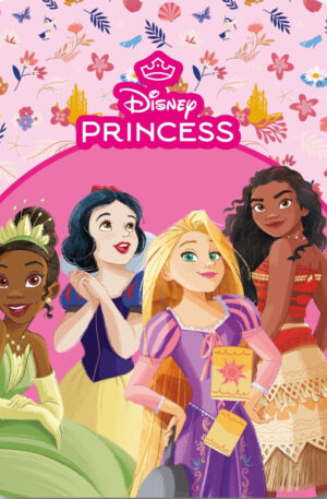 Disney-Hercegnok-Fairy-Tale-polar-takaro-100x140cm