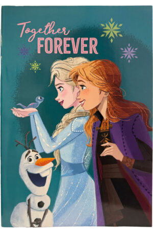 Disney-Jegvarazs-Together-B-5-vonalas-fuzet-40-lap