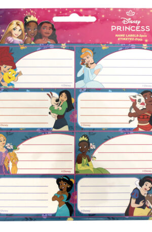 Disney-Hercegnok-Life-fuzetcimke-16-db-os