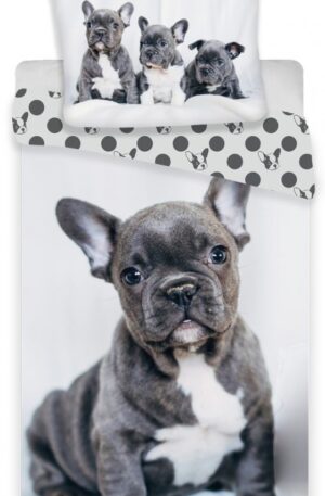 French-Bulldogs-agynemuhuzat-140200cm-7090-cm