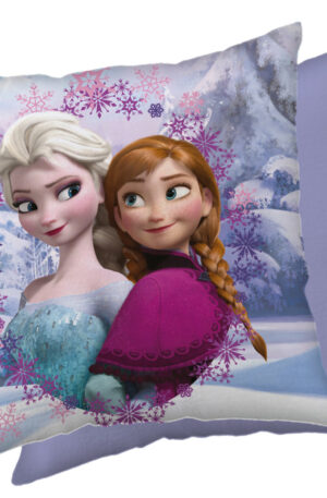 Disney-Jegvarazs-Frame-parnahuzat-40x40-cm-Velur