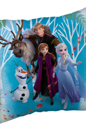 Disney-Jegvarazs-Family-parnahuzat-40x40-cm-Velur
