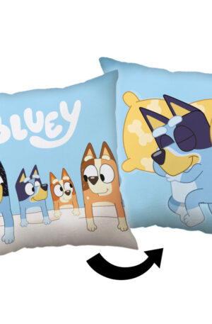 Bluey-Sleep-parna-diszparna-40x40-cm