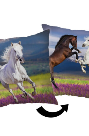 Lovas-Meadow-parna-diszparna-40x40-cm