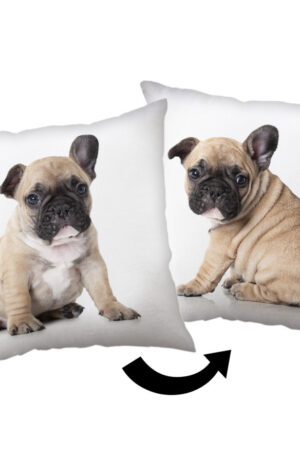 Kutyas-Bulldog-parna-diszparna-40x40-cm