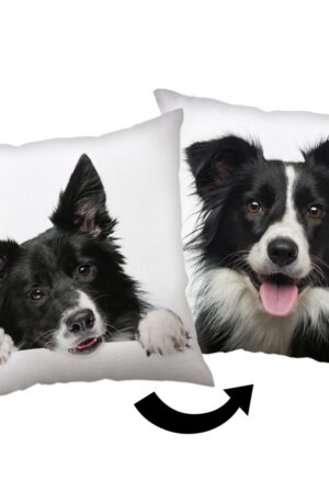 Kutyas-Border-Collie-parna-diszparna-40x40-cm