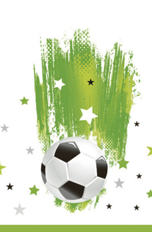 Focis-With-Stars-szalveta-20-db-os-33x33-cm