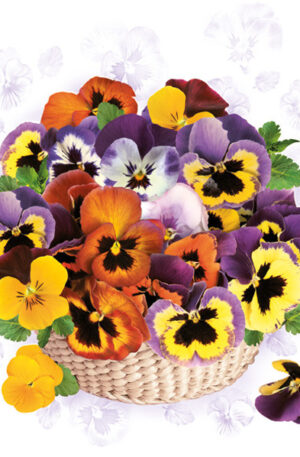 Arvacska-Colourful-szalveta-20-db-os-33x33-cm