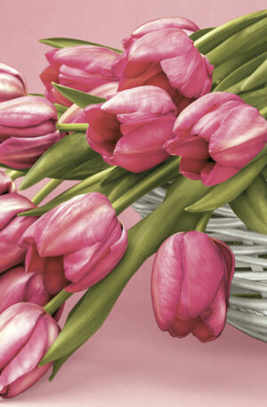 Tulipan-Falling-szalveta-20-db-os-33x33-cm