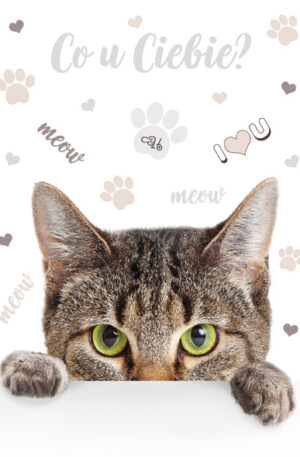 Cicas-Meow-A-4-gumis-mappa