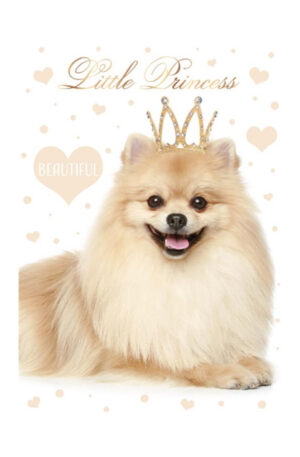 Kutyas-Little-Princess-A-4-gumis-mappa